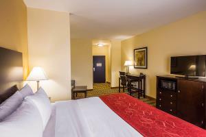 Hotel Comfort Suites