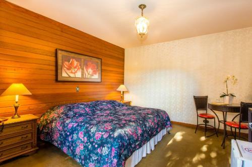 Hostal Pousada Cedro Do Libano