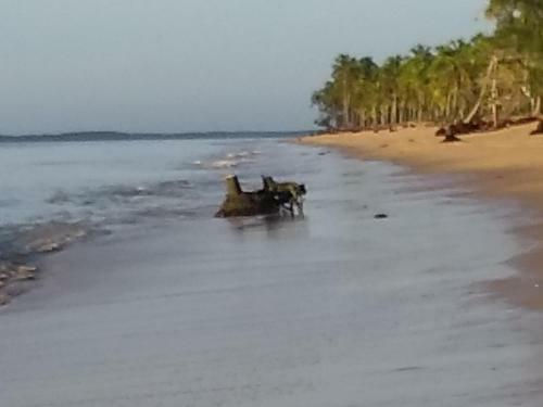 Hostal Pousada Das Sereias