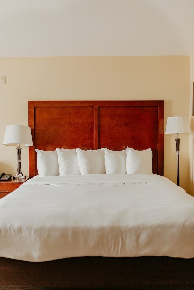 Hotel Comfort Inn Near Fairplex