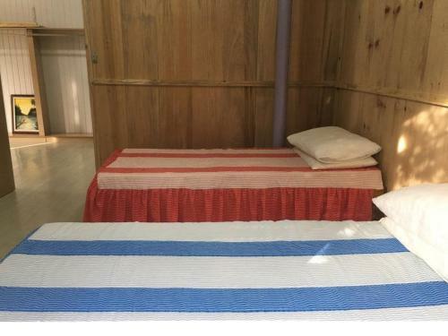 Apartamento Terreo Em Caxias Do Sul