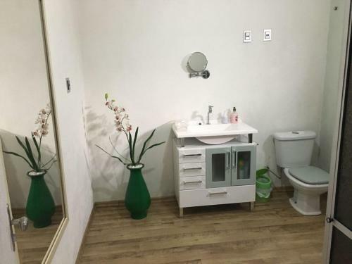 Apartamento Terreo Em Caxias Do Sul