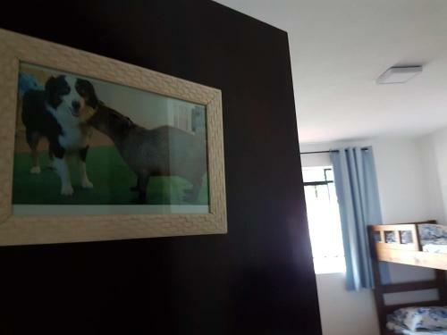 Capivaras Hostel Curitiba