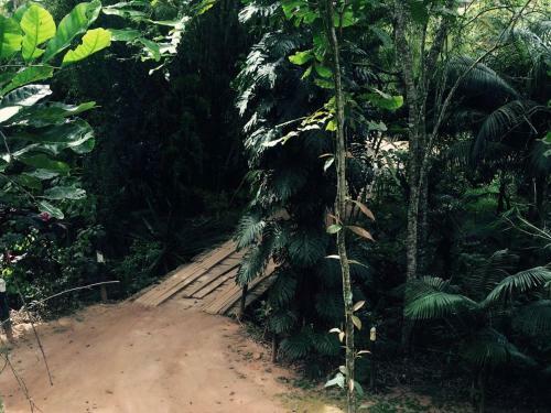 Hostal Delicias Da Tilapia