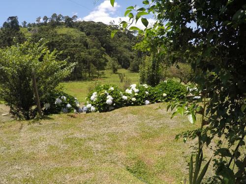 Sitio Rosa De Minas