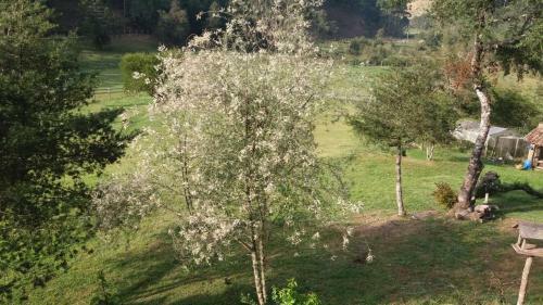 Sitio Rosa De Minas