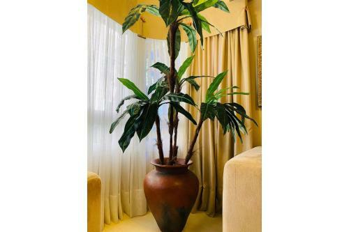 Apartamento Confort�vel 2d - Pr�ximo � Rua Coberta