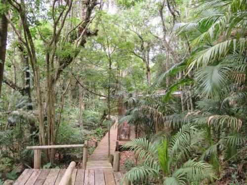 Apartamento Suite Ibiraquera Master