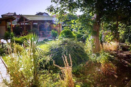 Hostal Guest House Jumbo