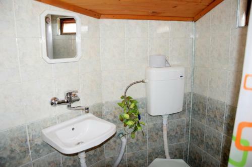 Hostal Guest Rooms Didi