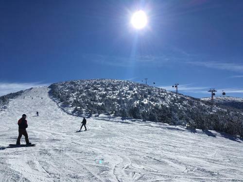 Apartamento Studio In Hotel Flora Borovets
