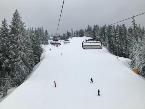 Apartamento Studio In Hotel Flora Borovets