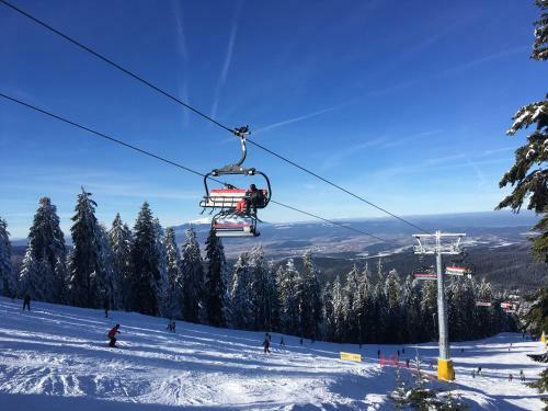 Apartamento Studio In Hotel Flora Borovets