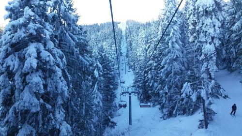 Apartamento Studio In Hotel Flora Borovets