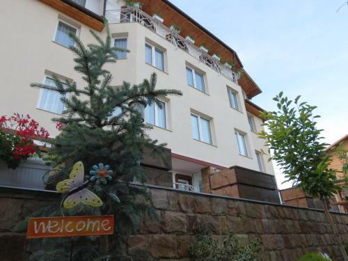 Hostal Aurora Guest House