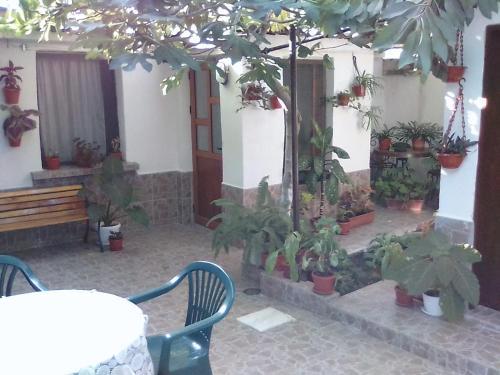 Hostal Guest Rooms Kostovi