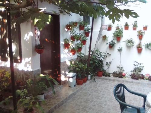 Hostal Guest Rooms Kostovi