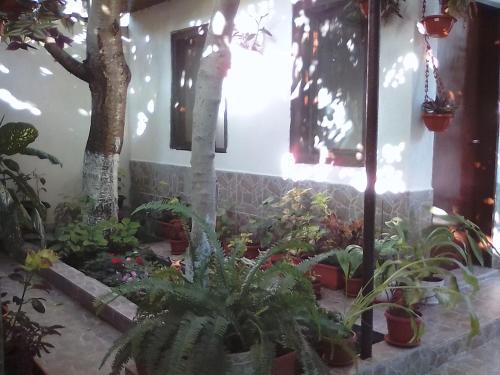 Hostal Guest Rooms Kostovi