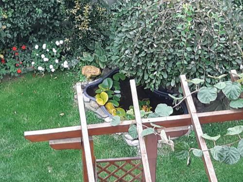 Bed & Breakfast Matevi