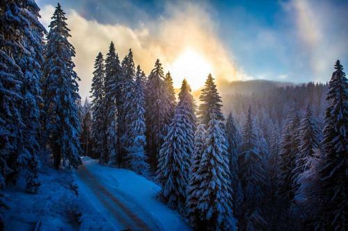 Hotel Sunny Hills Ski&wellness