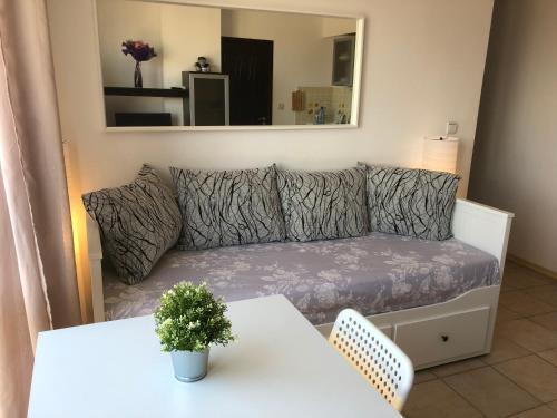 Apartment Oazis