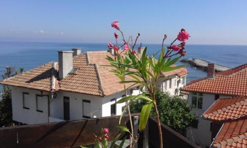 Hostal Kraybrezhna 3