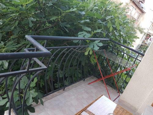 Hostal Guest House Veselina