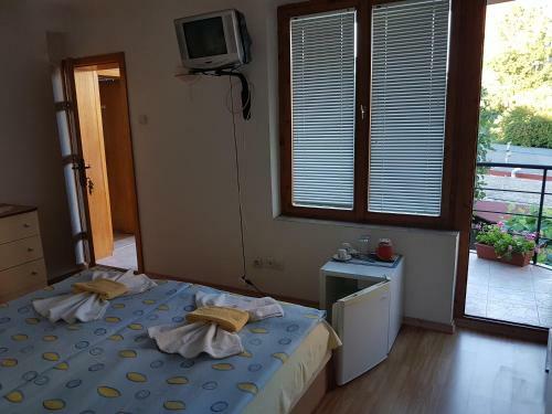 Hostal Guest House Veselina