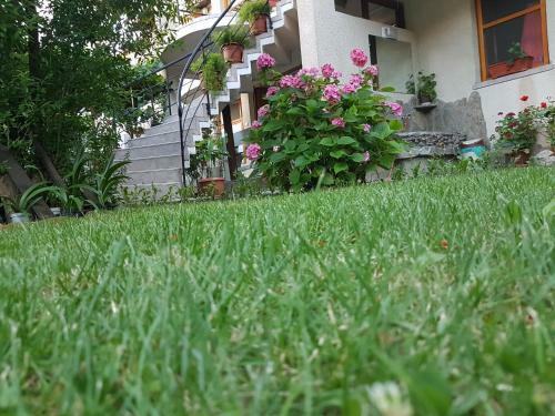 Hostal Guest House Veselina