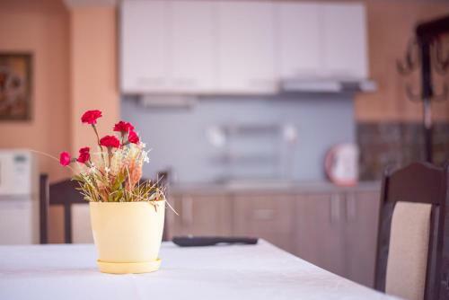 Hostal Guest House Vasilena