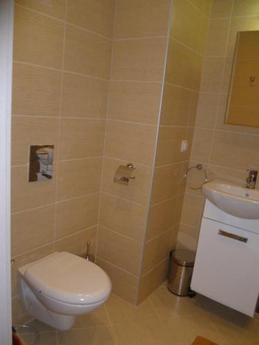 Apartments Zlatina