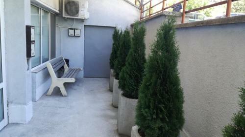 Hostal Sofia