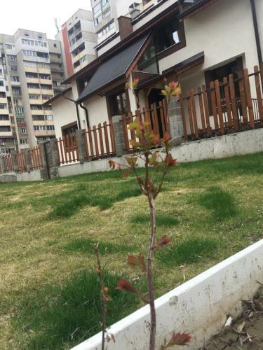Hostal Sofia Family House