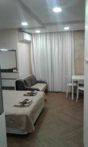 Luxury Apartment