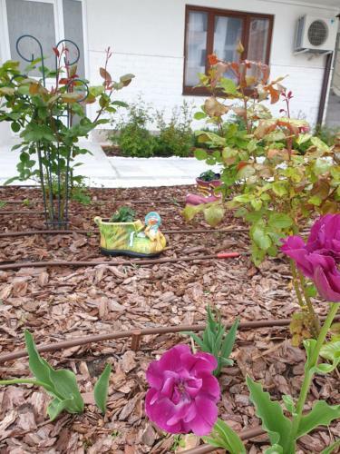 Apartamento Emerald Hills