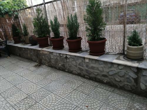 Apartments Avgusta Trayana