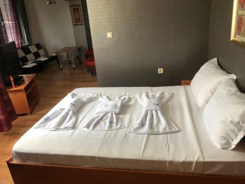 Hotel ???????? ?????