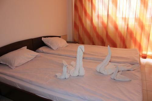Hostal Guest House Kolev 2