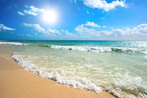 Sunny Beach Apartment 58