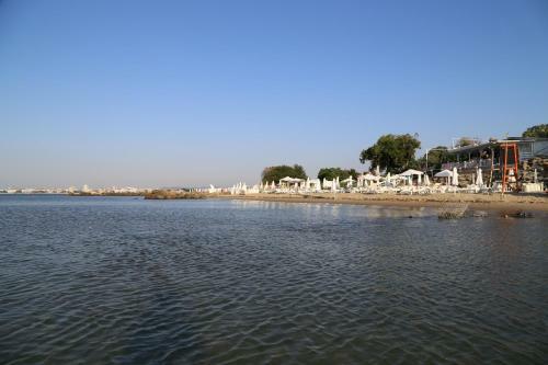 Seaside Apartment