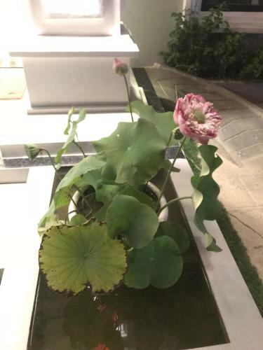 Sky Palace Boutique Hotel