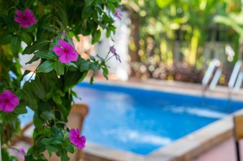 Hotel Aster Villa