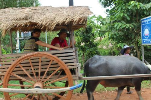 Family Homestay