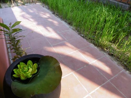 Andre Boutique Villa
