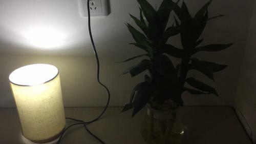 Beijing Tsinghua University Apartment
