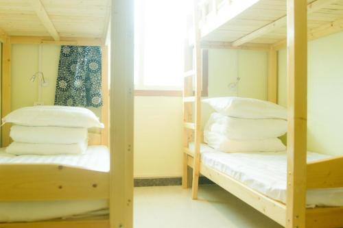 Echo�home International Hostel