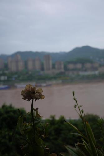 Jian Shan Youth Hostel