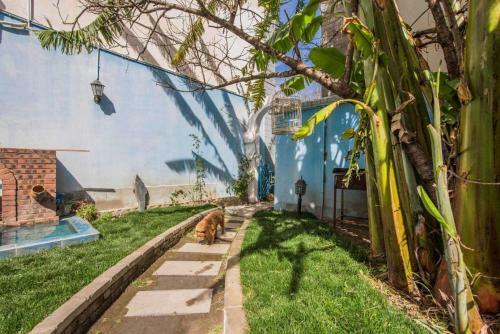 Hostal Qingsu Jianju Guest House
