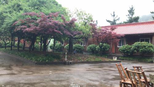 Hostal Nianglingwu Guesthouse
