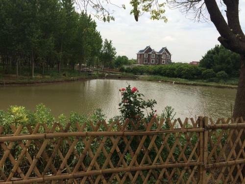 Distree Youth Hostel(jie Long)